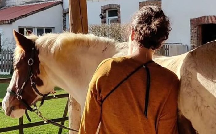 communication animale