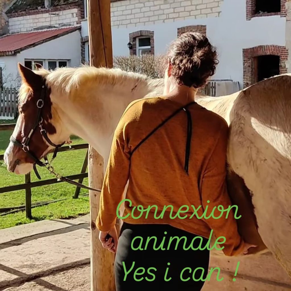 communication animale