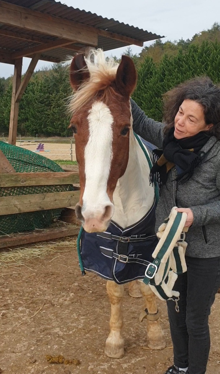 communication cheval